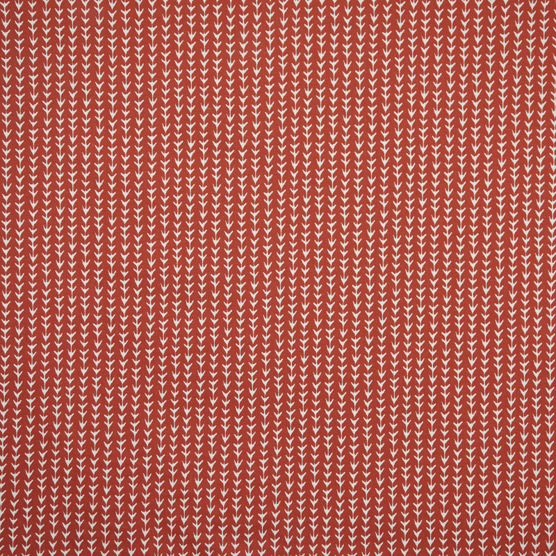 Scout Fabric