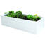 Boîte à fleurs en plastique 