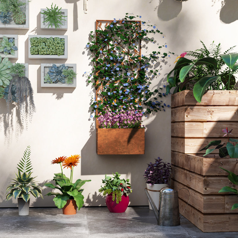 Lit de jardin surélevé avec écran d'intimité extérieur, mural, brun