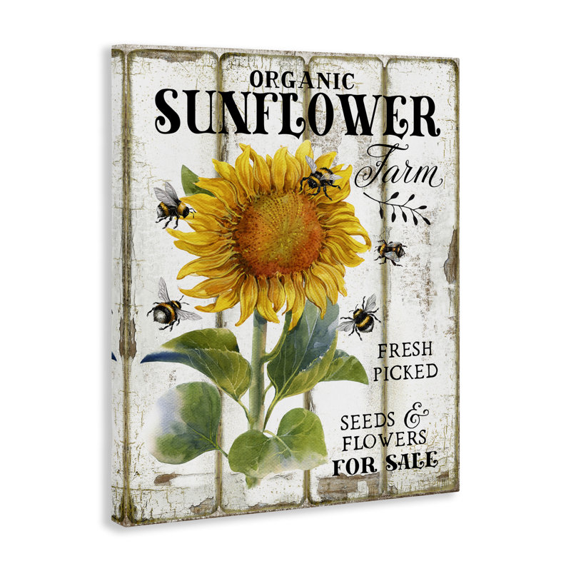 Art mural biologique sur toile de tournesol biologique par Creatif Belle bp-619_CN, H 40 po x l 30 po