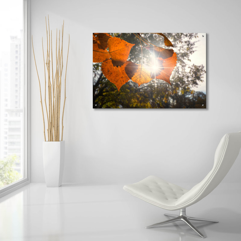 Art mural en verre d'automne 22 po par Gordon Semmens, 36 po x 24 po, H 24 po x l 36 po x P 0,2 po
