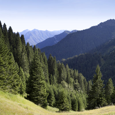 Wooded Mountains by Malerapaso