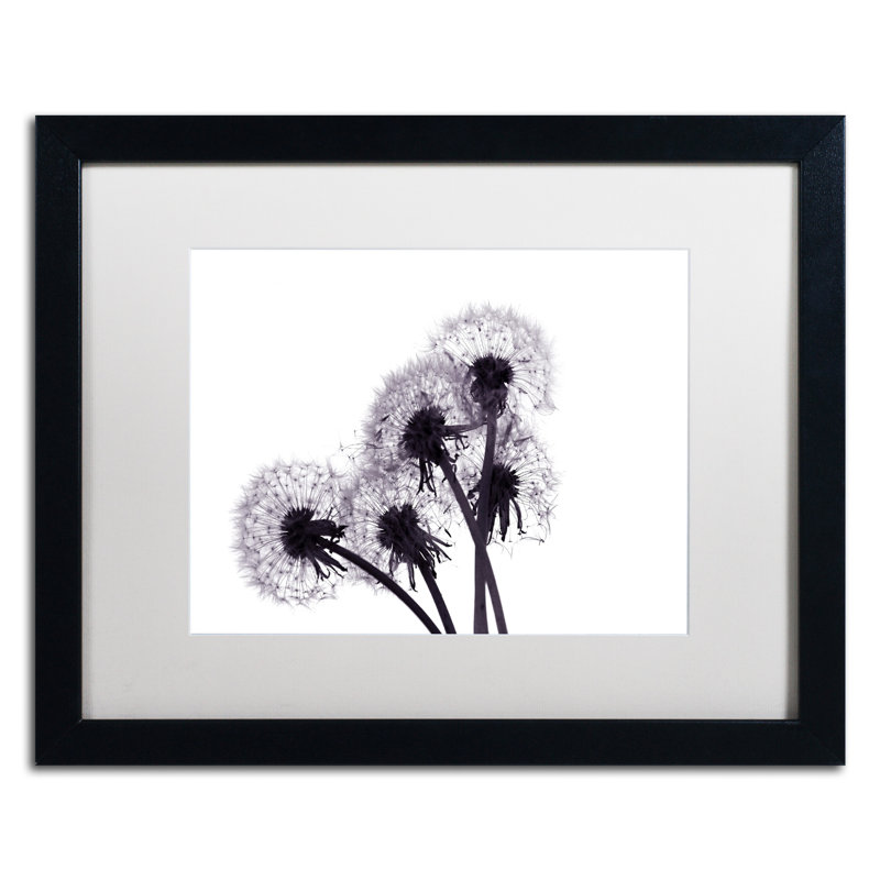 «Bunch of Wishes» par Beata Czyzowska Young - reproduction d'art sur toile, H 16 po x l 20 po x P 0,5 po