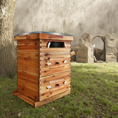 10-Frame Bee Hive Starter Kit for Beekeepers Dipped In 100% Beeswax Includes 2 Deep Box and 1 Medium Bee Box  with Acrylic Window, Beehives Frames and Wax Foundations for Beginner Beekeepers