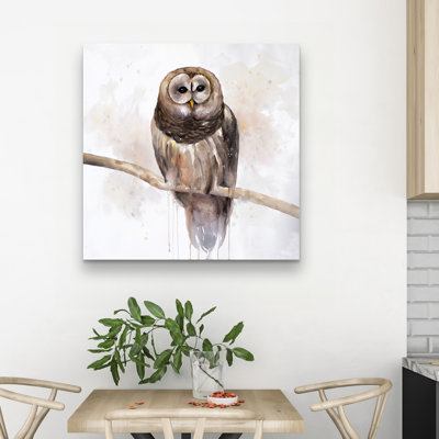Barred owl - 32"x32" art on canvas