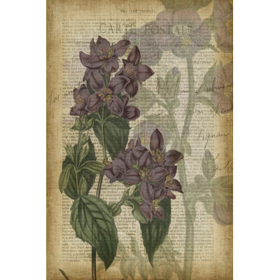 Fuchsia Flowers II by Studio W - Wrapped Canvas Memorabilia