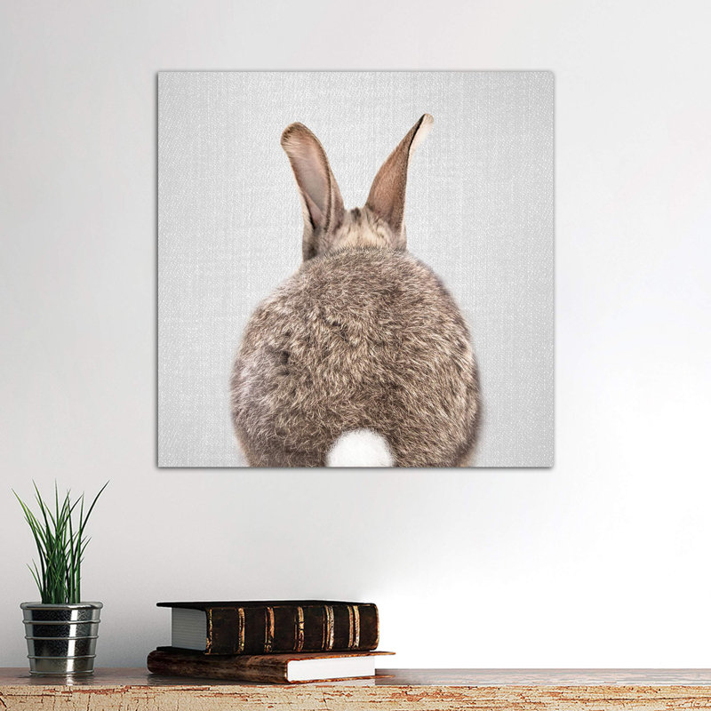 Rabbit Tail - Wrapped Canvas Print, 66.04 cm H x 66.04 cm W x 1.91 cm D