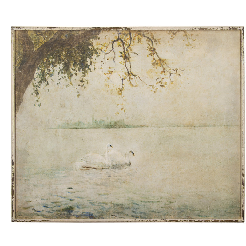 Multicolore Swans on a Lake