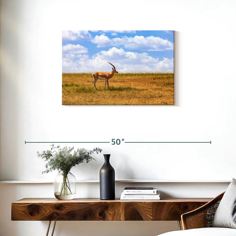 Gazelle Brampt dans la savane, H 20 po x l 30 po