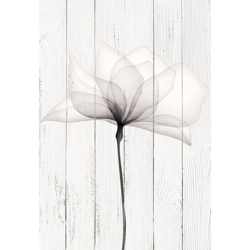 Art mural translucide sur toile en bois blanc, H 36 po x l 48 po