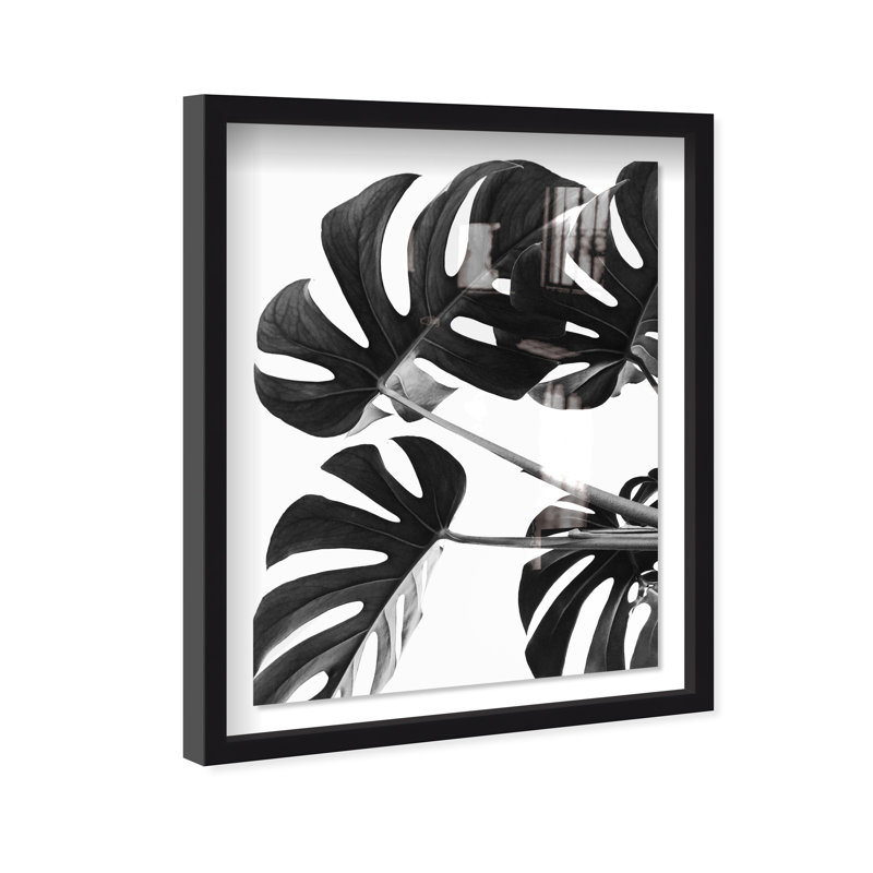 Photographie noir / blanc «Monstera», reproduction encadrée par Oliver Gal, H 31 po x l 21 po x P 1 po, Cadre noir