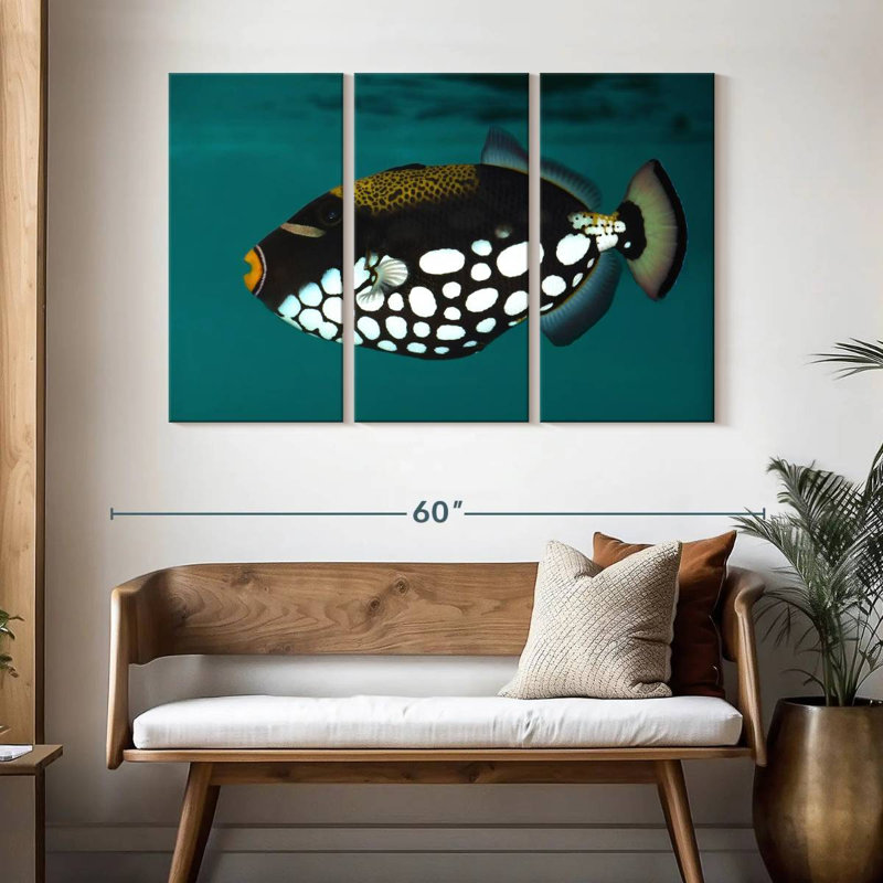 Brampt Clown Triggerfish Pet, 32" H x 50" W