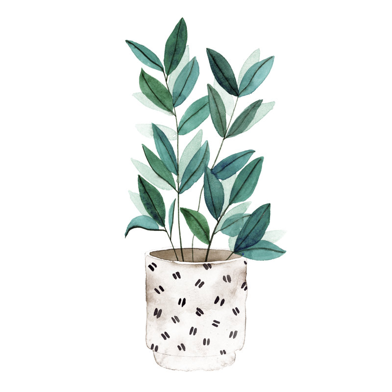 Plante dans un pot I, H 30 po x l 20 po x P 1 po