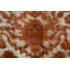Tapis unique 10 pi x 12 pi 5 po Exell
