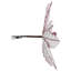Tiges de poinsettia-88519553