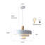 Luminaire suspendu nordique 1 lumière