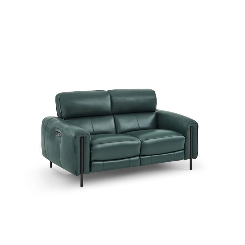 Charm 66'' Leather Reclining Loveseat, Green