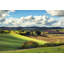 Pastoral Countryside III by Colby Chester - Photograph Print-876921415-836176116
