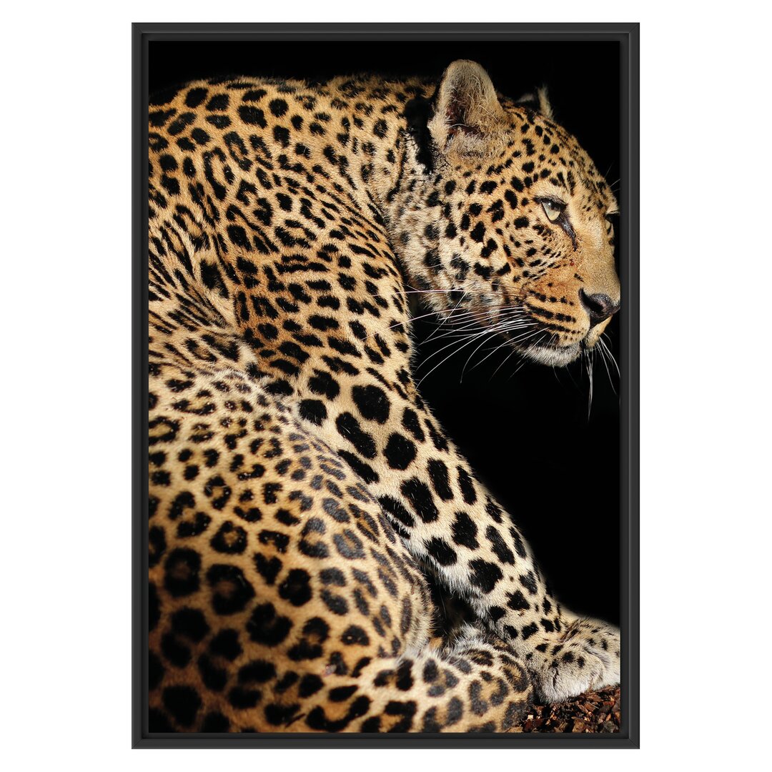 Gerahmtes Wandbild Anmutiger Leopard