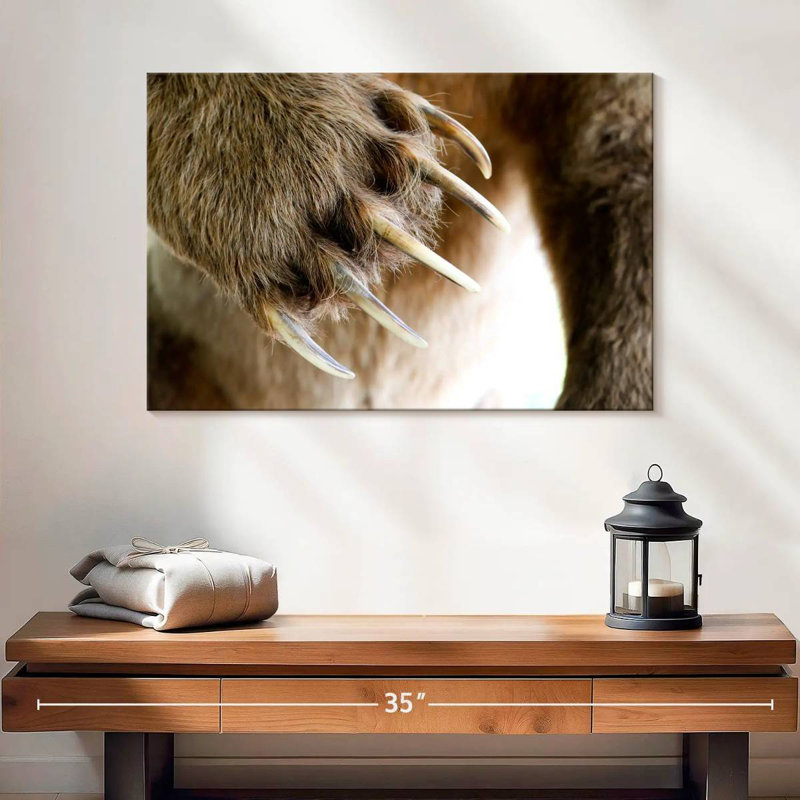 Brampt Bear Claws, 16'' H x 24'' W