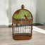 Rusty Garden Wall Mirror Bird Cage-871332858