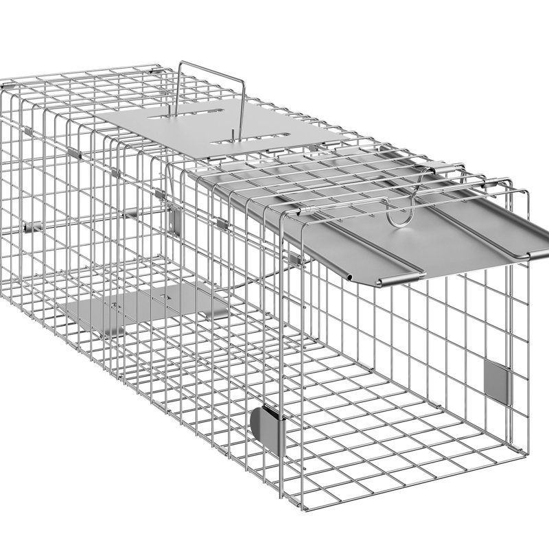 Siphon Humane Live pour chats, lapins et ratons laveurs - Cage en acier galvanisé robuste