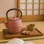 Seren 0,9 pte Théière japonaise en fonte élégante Kyusu Tetsubin avec infuseur en acier inoxydable pour feuilles volantes et tisane