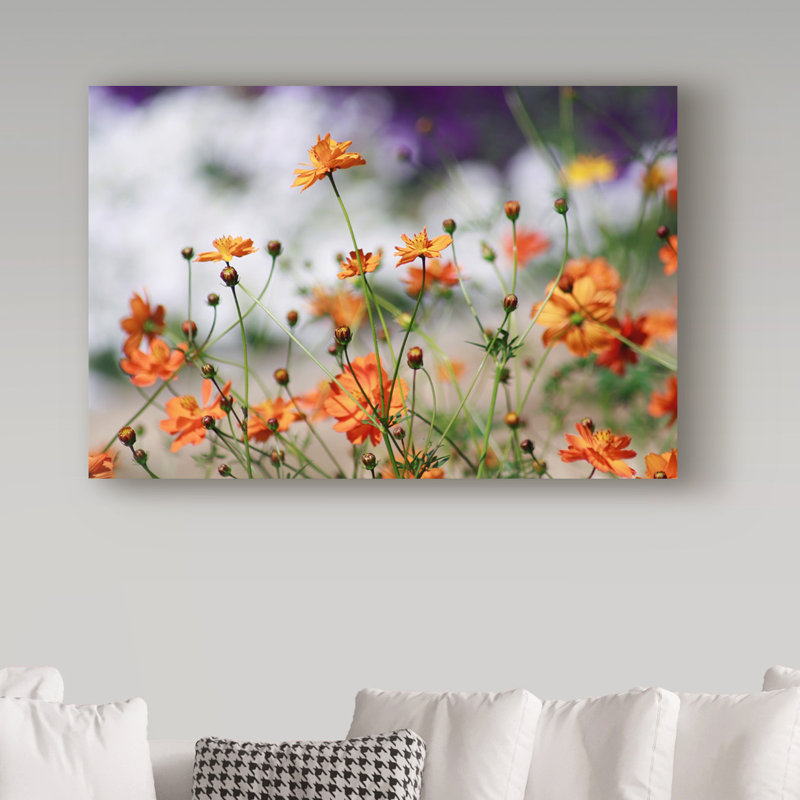 «Garden Conversations» par Yareny, reproduction de photo sur toile tendue, H 12 po x l 19 po x P 2 po