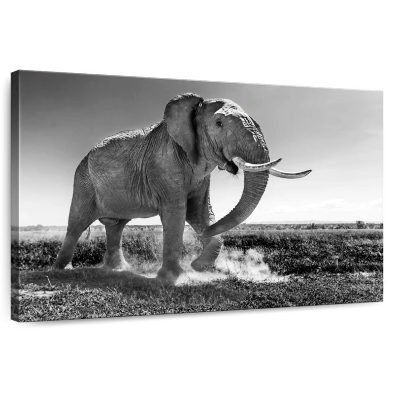Brampt Grassland Elephant, 32" H x 48" W