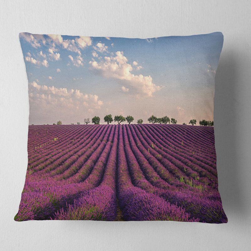 Coussin Schafer, 16 po x 1 po, Coussin décoratif