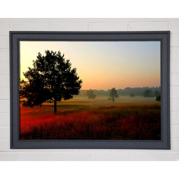 Single Picture Ebern Designs Single Picture Frame Print | Wayfair.co.uk