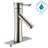 Sage Single-handle Bathroom Faucet with Drain Assembly-19379280