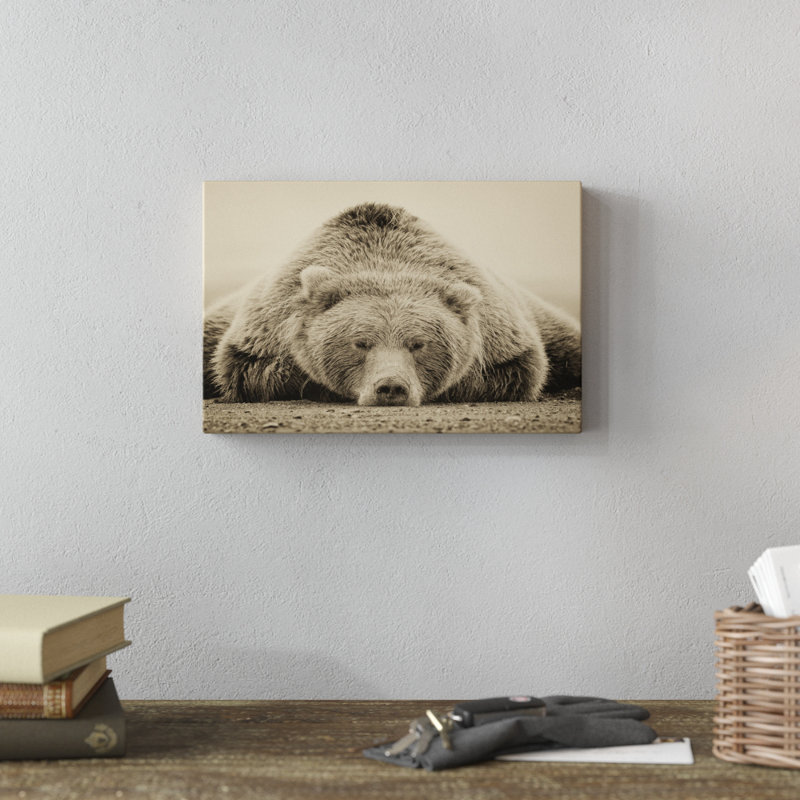 Deep Sleep by PHBurchett - Print, 20cm H x 30cm W, Wrapped Canvas