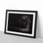 Black Cat with Yellow Eyes - Picture Frame Art Print-55512488-55512491