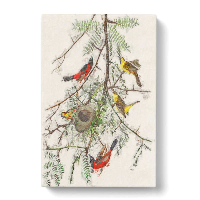 Orchard Oriole by John Audubon - Wrapped Canvas Painting, 50cm H x 35cm W x 3cm D