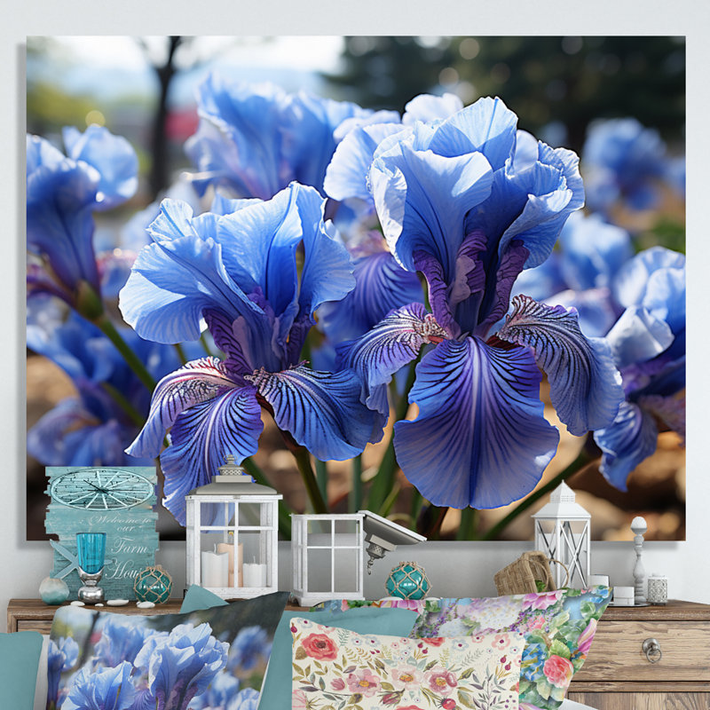 Blue Irises Field Vibrant, Toile tendue, H 12 po x l 20 po x P 1 po