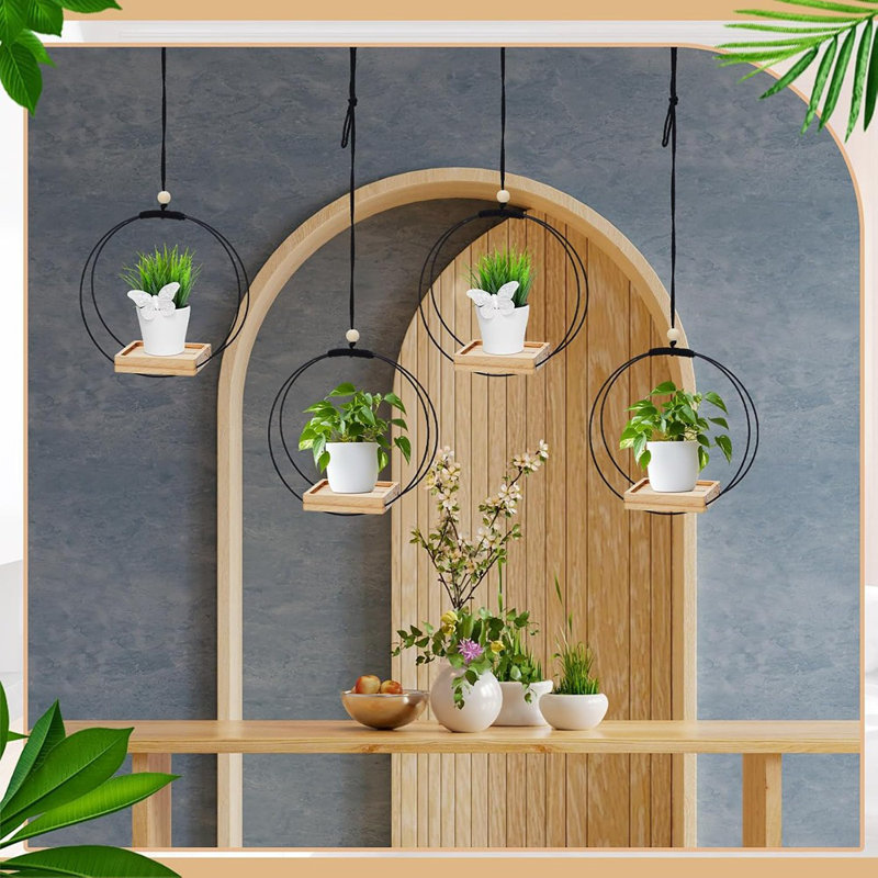 Ensemble de 4 cintres à plantes avec base en bois