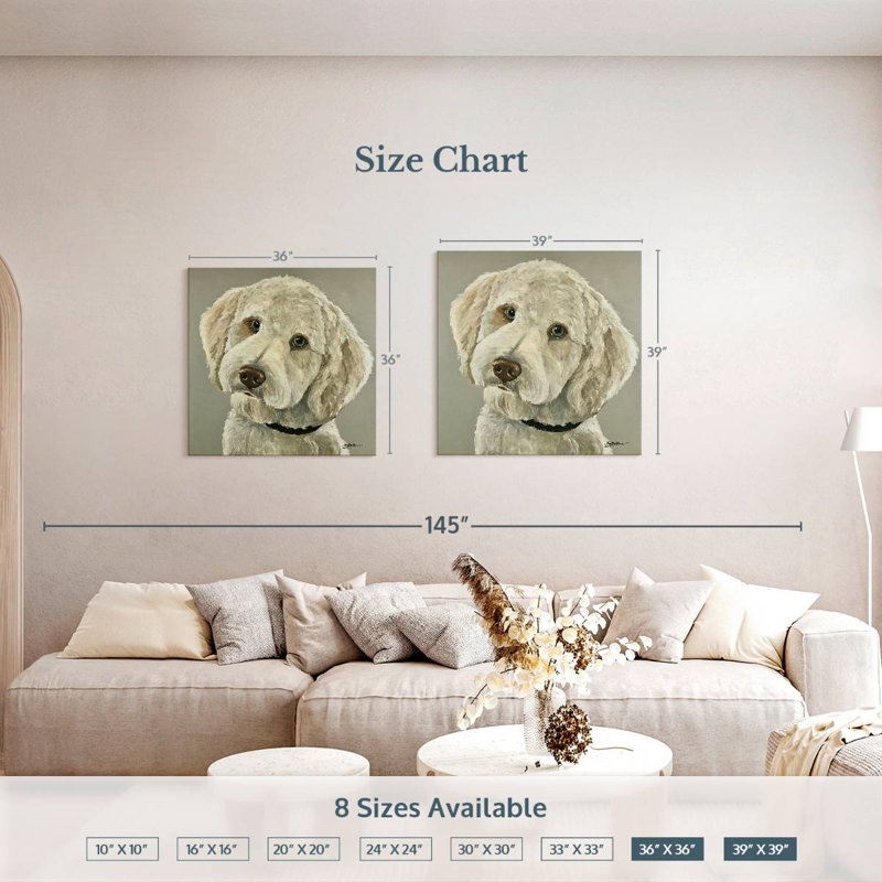 Goldendoodle sur fond gris, H 36 po x l 36 po