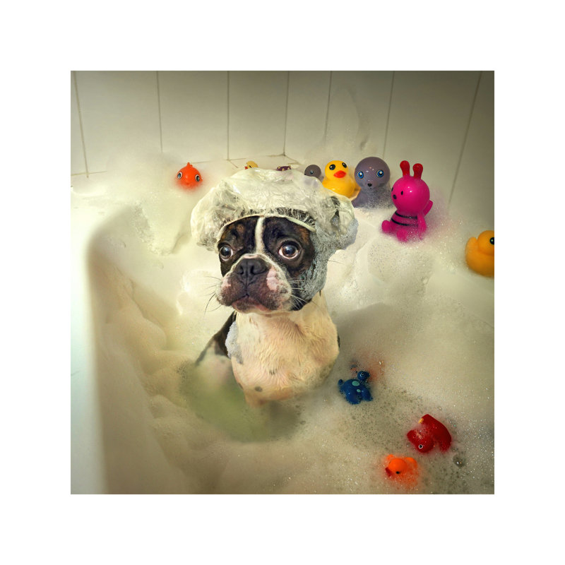 The Bath 1 Piece Wrapped Canvas Painting, 66.04 cm H x 66.04 cm W x 1.91 cm D