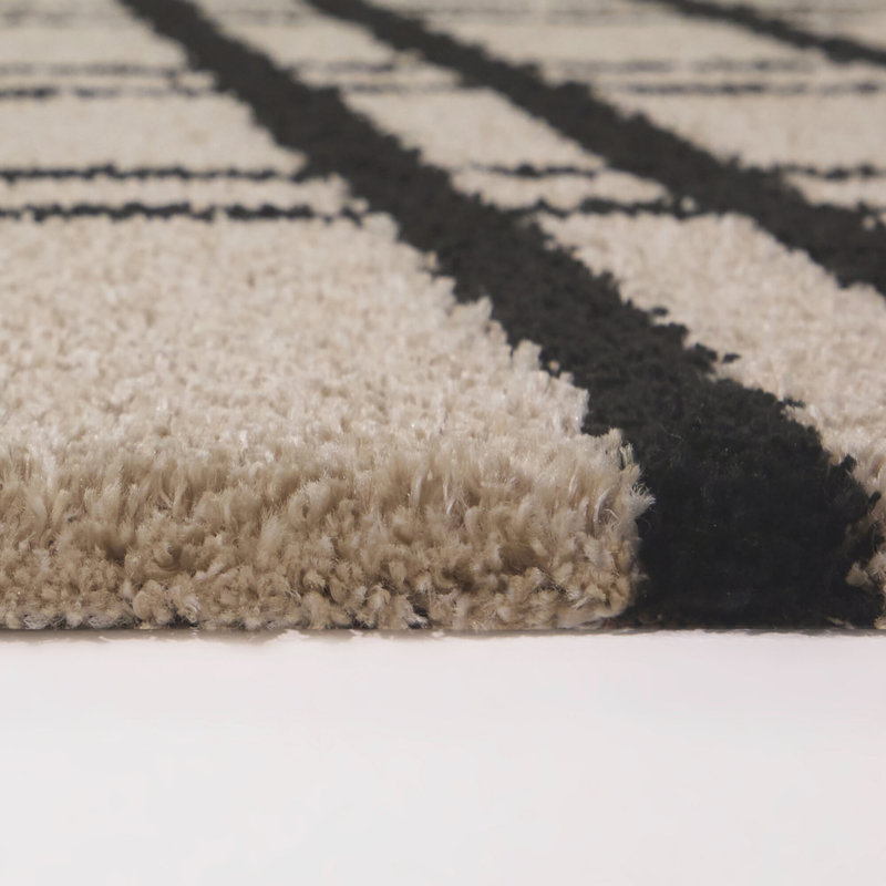 Leana Black Geometric Stripe Area Rug, Rectangle 5'3" x 7'