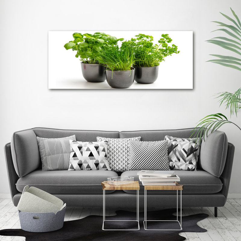 Herbs In Pots - Print, Wrapped Canvas, 50cm H x 125cm W x 2cm D
