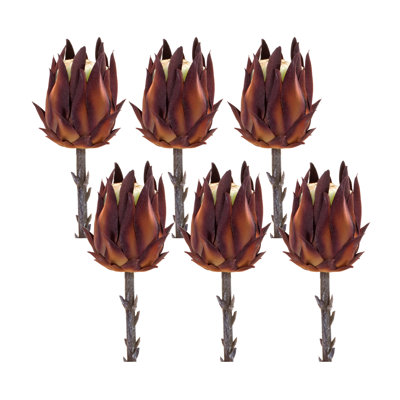 Protea Arrangement