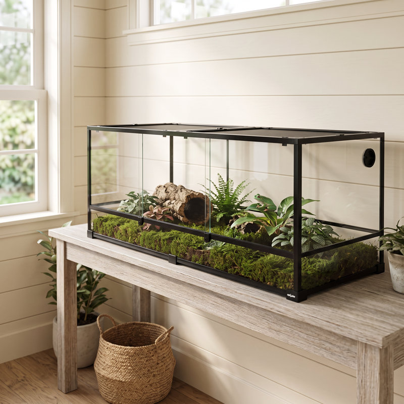 Terrarium de reptile 60 po x 24 po x 24 po