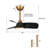 Haywa 28'' Ceiling Fan with LED Lights-383580984