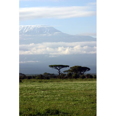 Grissett Kilimanjaro by Tuulimaa - Wrapped Canvas Print
