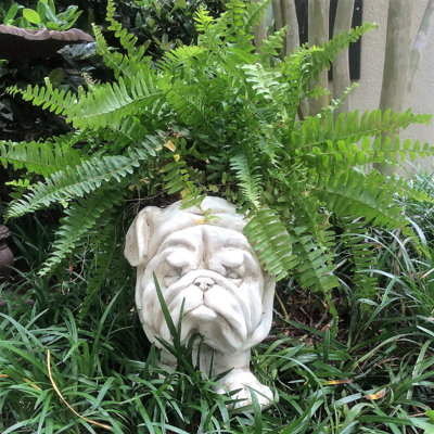 Pot à fleurs Muggly's Bulldog