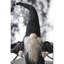 Décor de gnome noir en tissu 10 x 3 x 15,5 po avec ailes, pour décoration d'Halloween