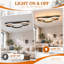 3-Light 58cm Modern LED Flush Mount Ceiling Light