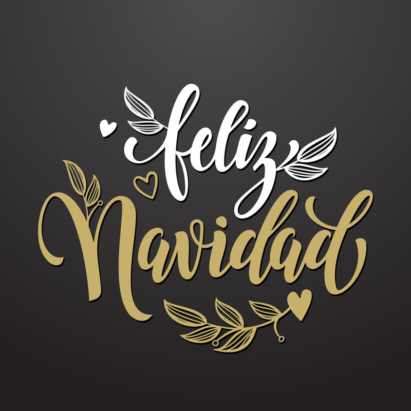 Feliz Navidad Spanish Merry Christmas Text Lettering by Chaluk - Wrapped Canvas Print, 122cm H x 122cm W x 3.8cm D