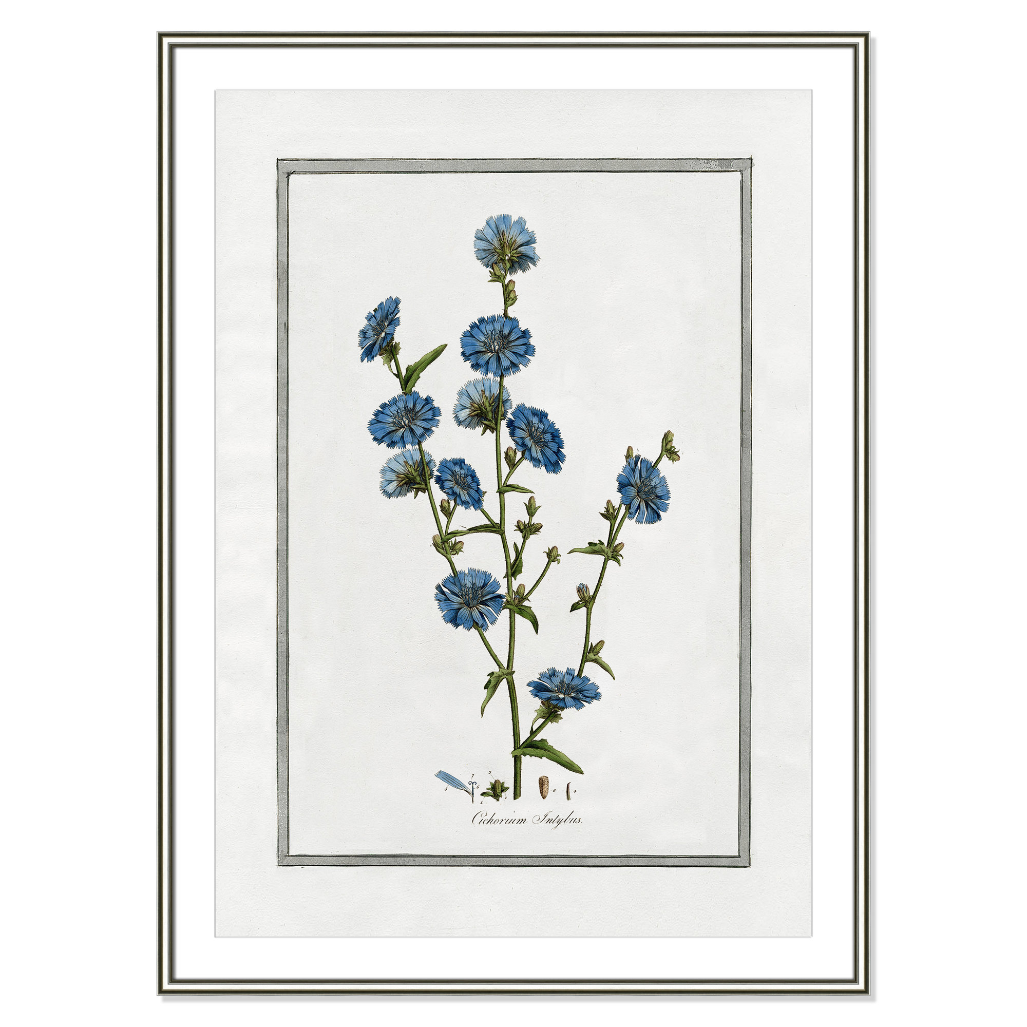 Soft Botanical I - Framed Art Full Bleed, Silver Framed, 30.75" W x 42.75" H